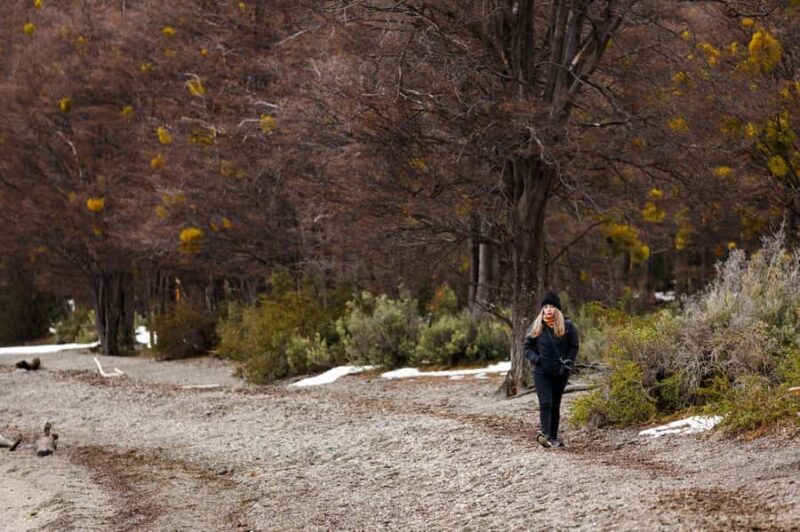 Discover Tierra del Fuego National Park - Authentic Encounters and Traveler Experiences