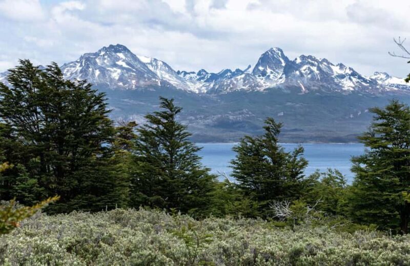 Discover Tierra del Fuego National Park - The Sum Up: Is This Tour For You?
