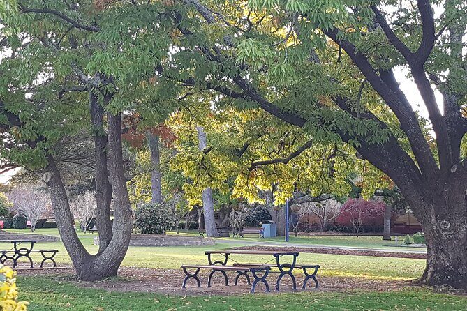 Discover Toowoomba Tours - Analyzing the Itinerary