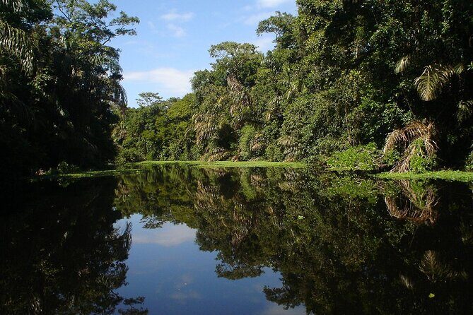 Discover Tortuguero: 1 Night 2 Days All Inclusive Package - Frequently Asked Questions