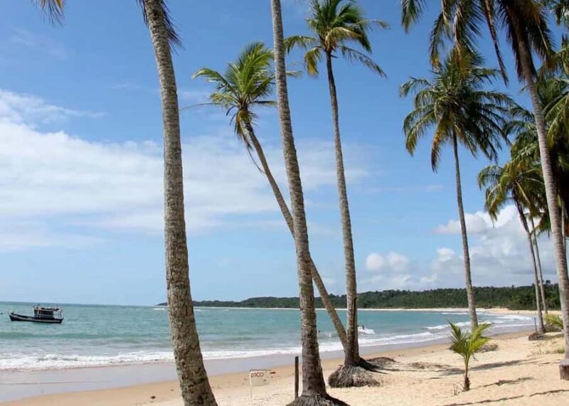 Discover Trancoso: Explore Beaches, History & Local Culture - Key Points