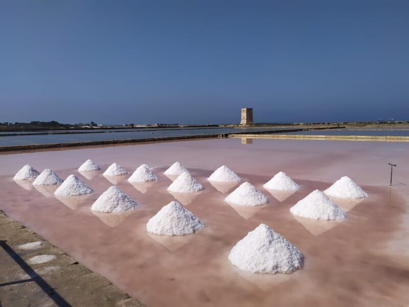 Discover Trapani's Saltpans with an E-Bike Tour - Practical Tips for Future Participants