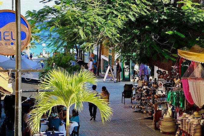 Discover Tulum, Visit Coba And Swim In A Real Mayan Cenote and Playa del carmen - Playa del Carmen: Free Time in a Bustling Town