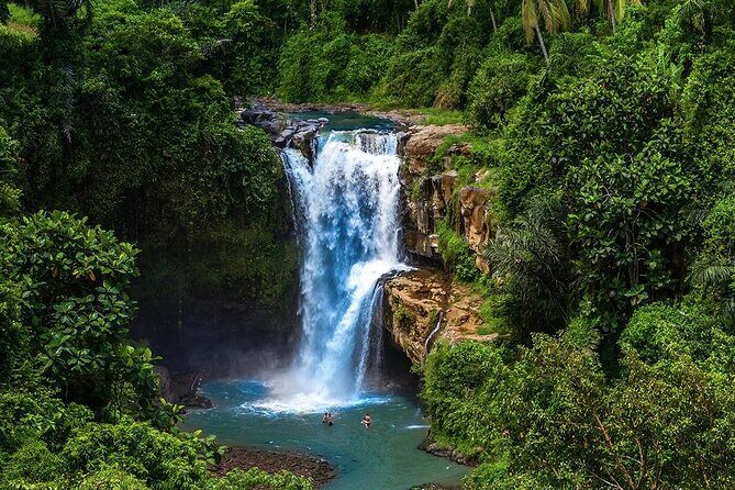 Discover Ubud: Exotism Ubud and Optional Meet the Bali Shaman - Key Points