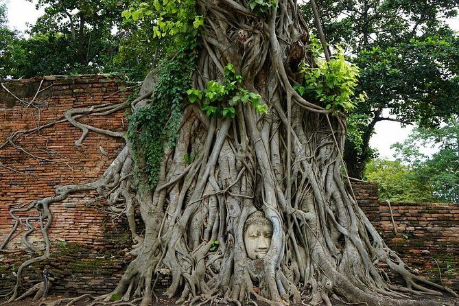 Discover UNESCO World Heritage Sites - Ayutthaya to Khao Yai National Park - The Value of a Private Guided Day Tour