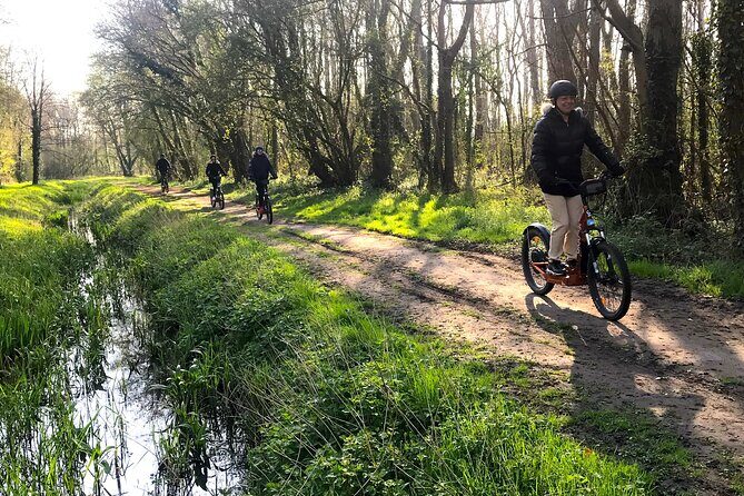 Discover Versailles on electric 2-wheelers (Yes to PRM) - Pricing & Value