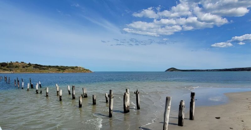 Discover Victor Harbor Guided Walking Tour - Final Thoughts