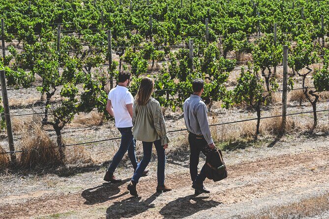 Discover Voyager Tour and Wine Tasting - In-Depth Review of the Voyager Tour and Wine Tasting