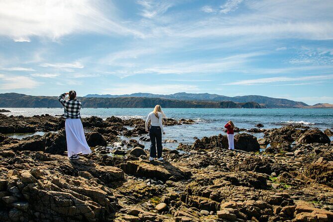 Discover Wellington 3 hour City Tour - An In-Depth Review of the Discover Wellington 3 Hour City Tour