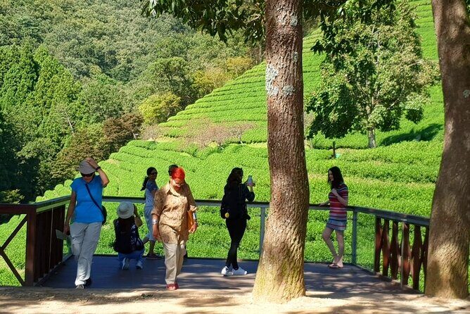 Discover Western Korea in 4days: All-Inclusive Experience - FAQ Section