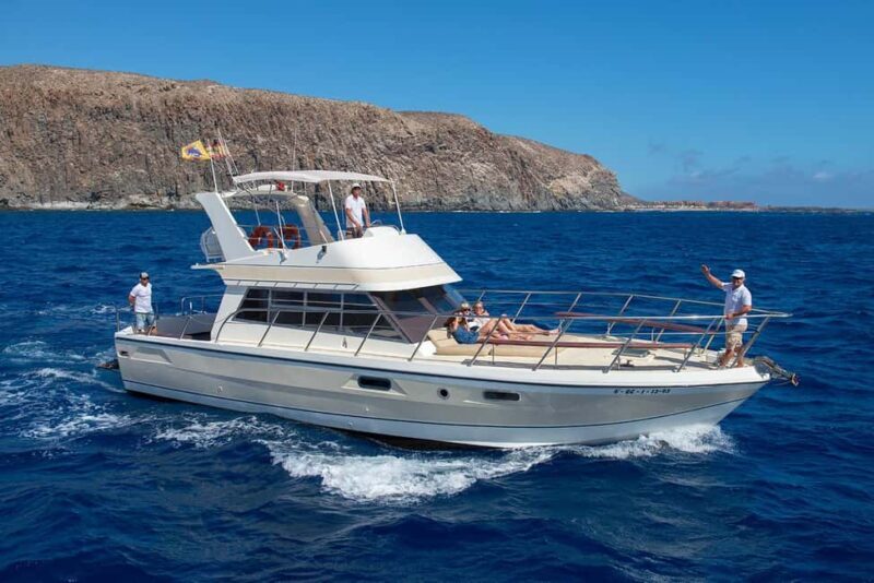 Discover whales in Tenerife: exclusive yacht tour with swimming and lunch. - An In-Depth Look at the Tenerife Yacht Tour