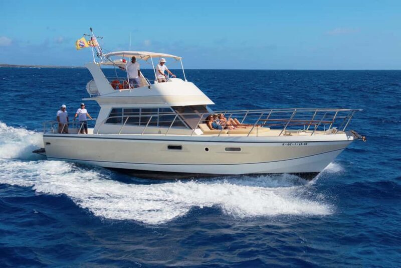 Discover whales in Tenerife: exclusive yacht tour with swimming and lunch. - Practical Details and Tips