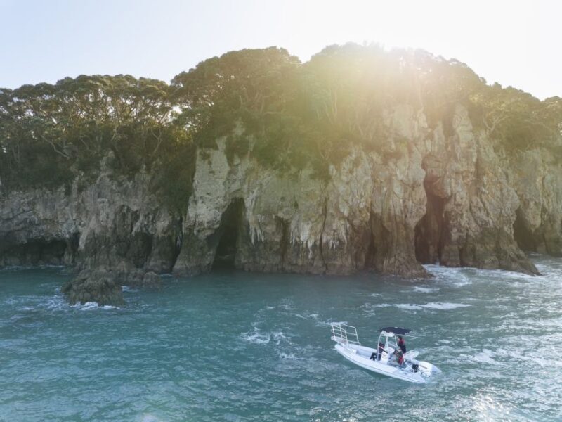 Discover Whangamata - Boat Tour - The Sum Up