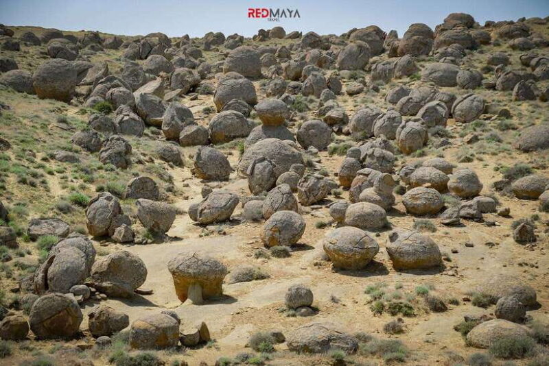 Discover Whole Mangystau in 7 days - Group Tour - A Closer Look at the 7-Day Itinerary