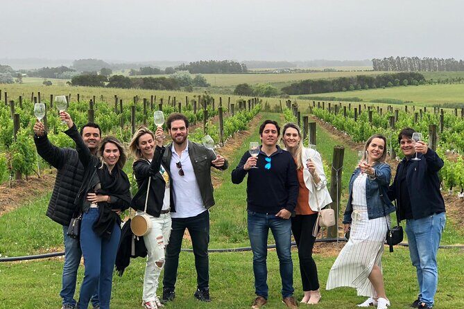 Discover why we Love the Colonia Wine Experience - A Detailed Look at the Colonia Wine Experience