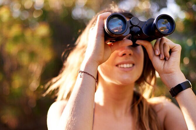 Discover Zagreb's Nature on Shared Birdwalk Tour - What’s Included and What to Expect