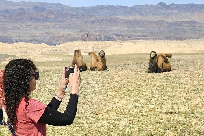 Discovering 6 Stunning Sights on Private Tour of Charyn Canyon - Who Is This Tour Best For?