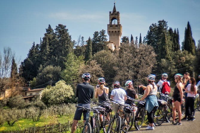 Discovering Bees in Volterra - What Reviewers Say