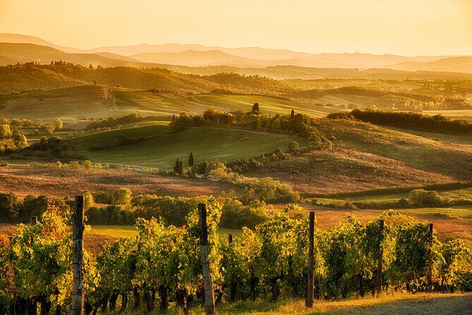Discovering Chianti: Sunset eBike Tour and Dinner - Key Points