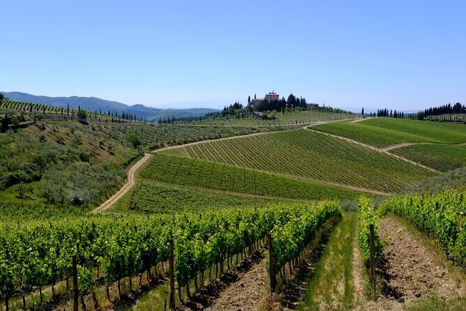 Discovering Chianti: Sunset eBike Tour and Dinner - Who Will Love This Experience?