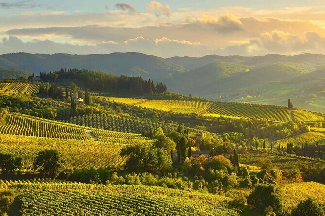 Discovering Chianti: Sunset eBike Tour and Dinner - Frequently Asked Questions