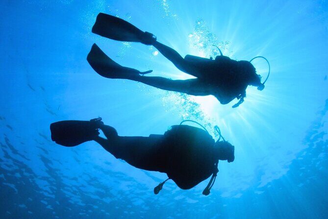 Discovering Diving in Chankanaab Park - The Sum Up