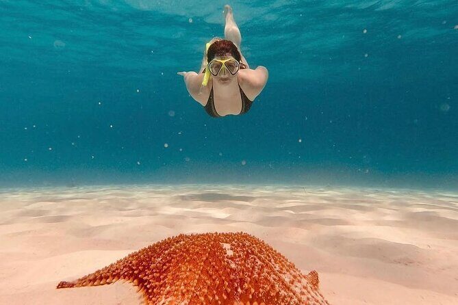 Discovering El Cielo Reef by Double Decker Catamaran - Final Thoughts