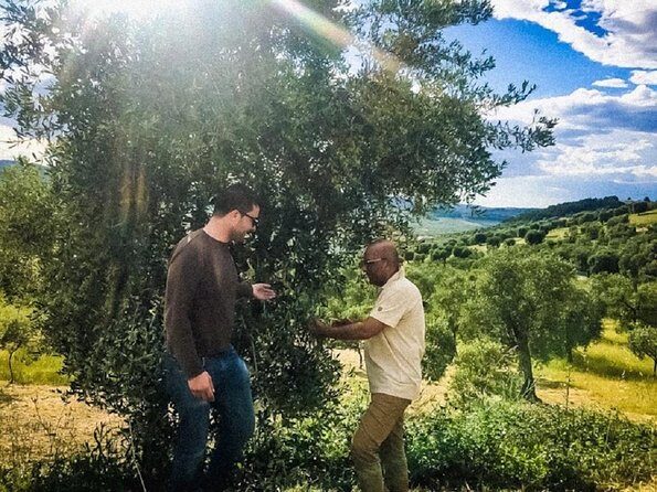 Discovering extra virgin olive oil - Discovering Extra Virgin Olive Oil in Vieste: A Practical Guide