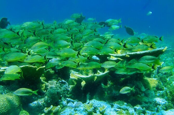 Discovering Isla Mujeres on a Double Decker Catamaran - Practical Tips for Travelers