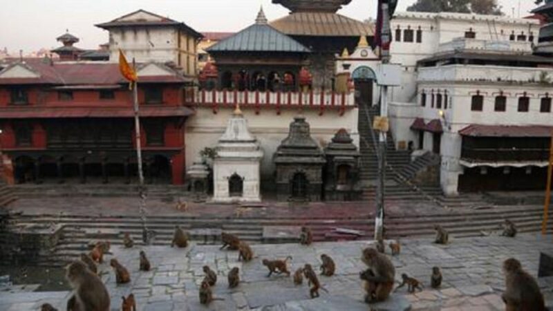Discovering Kathmandu: Full-Day City Highlights Bus Tour - An In-Depth Look at the Experience