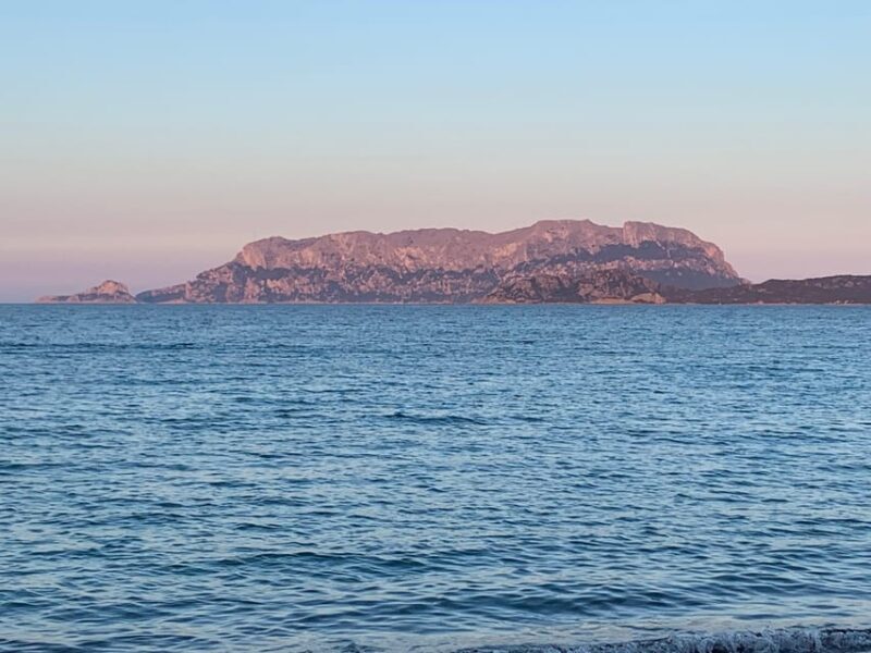 Discovering Mortorio Island with Capelli 6 met. All incl. - The Highlights of the Itinerary