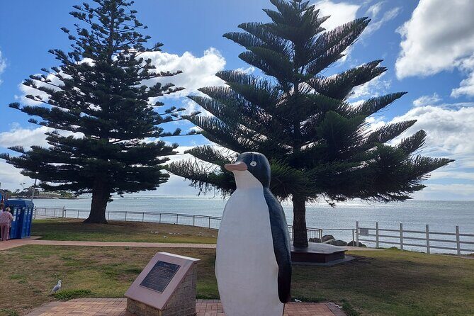 Discovering Tasmania: Burnie Shore Excursion - Key Points