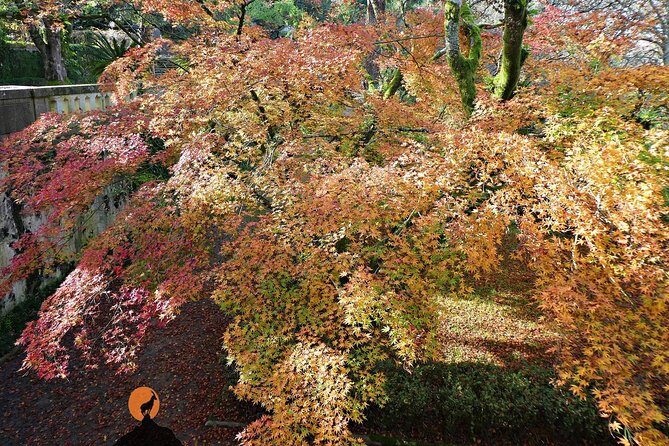 Discovering the charms and places of Coimbra - Key Points