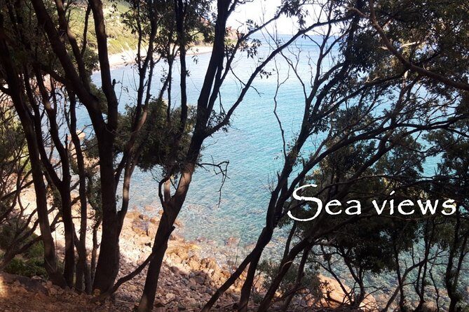 Discovering the Land of the Centenaries and swimming in the Natural Pools - In-Depth Look at Your Sardinian Adventure