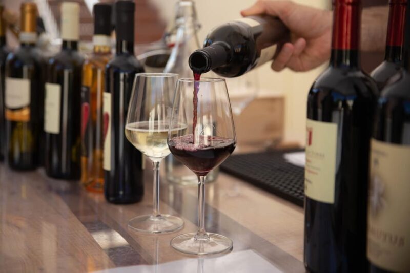 Discovering the mystery grape varieties - An In-Depth Look at the Wine Experience in Emilia-Romagna