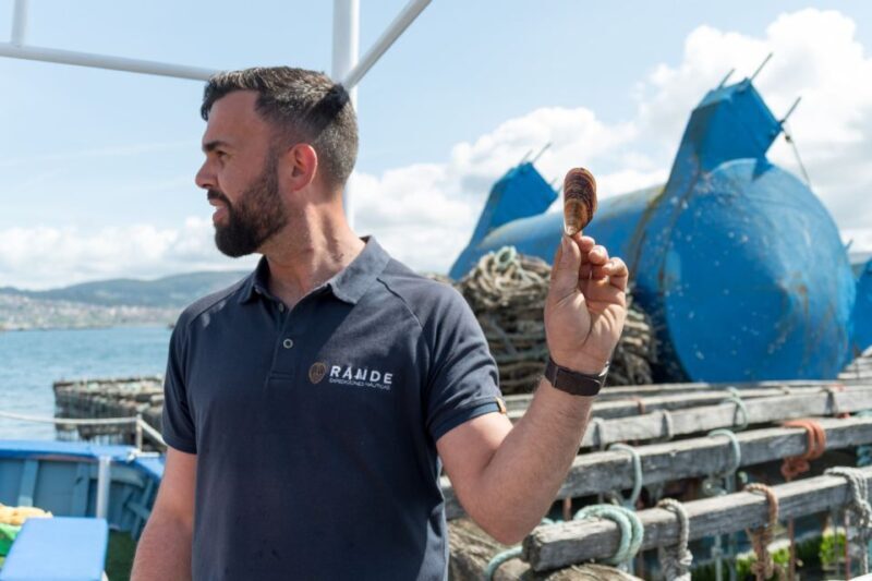 Discovering Vigo ria and mussels in the traditional boat - An In-Depth Look at the Vigo Ría and Mussel Boat Tour
