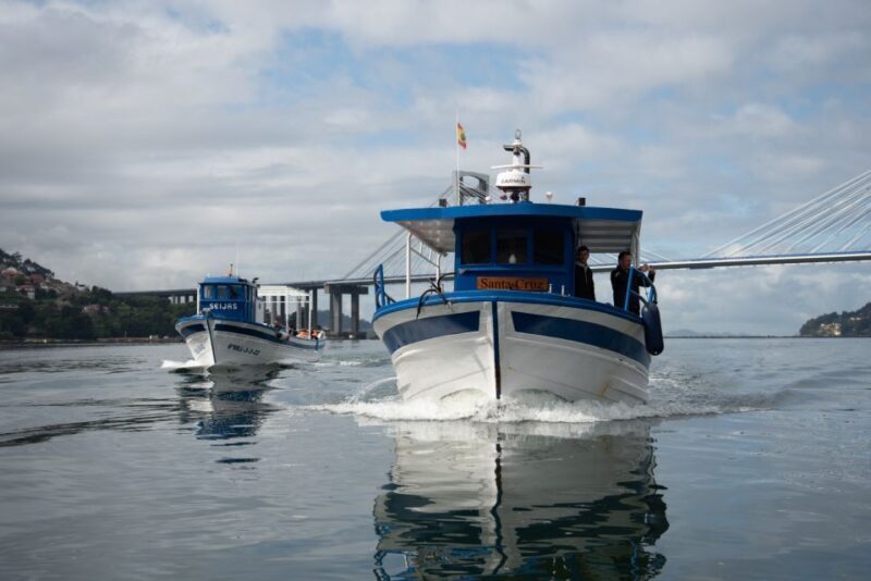 Discovering Vigo ria and mussels in the traditional boat - The Sum Up