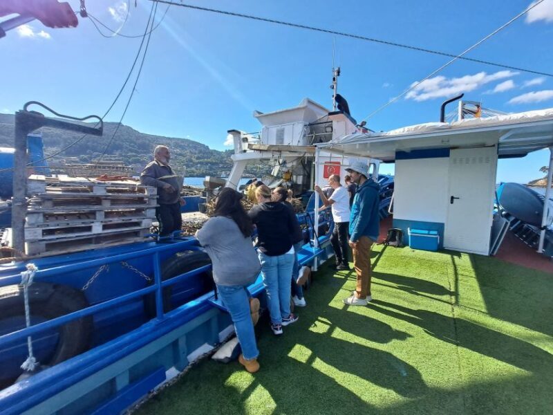 Discovering Vigo ria and mussels in the traditional boat - FAQ
