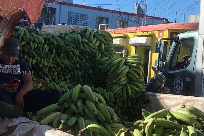 discovery and adventure of the local Dominican life in small group - Final Thoughts