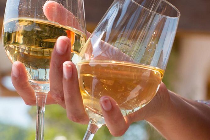 Discovery and Tasting of Biodynamic Wine in Alsace - Discover Biodynamic Wines in Alsace: A Practical, Authentic Experience
