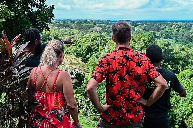 Discovery Bush Walk from Port Vila - A Personal Take on the Discovery Bush Walk from Port Vila
