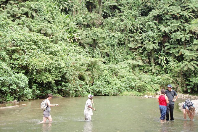 Discovery Bush Walk from Port Vila - Key Points