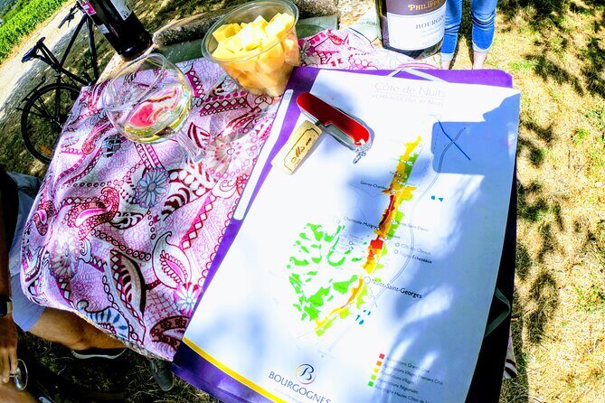 Discovery by bike & Tasting in the vineyards - Authentic, Delicious, and Educational