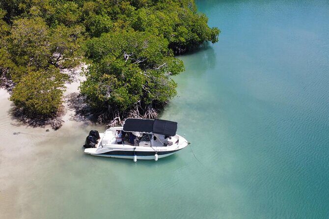 Discovery day at La Baignoire de Joséphine on the windward side - Experience the Charm of Martinique with a Day at La Baignoire de Joséphine