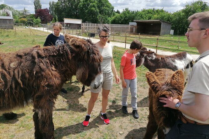 Discovery day in the footsteps of Baudet du Poitou - FAQ