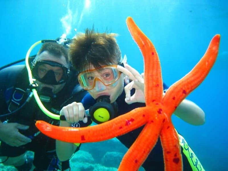 Discovery Dive - 2 hour Uncertified Diver Introductory Dive - An Honest Look at the Experience