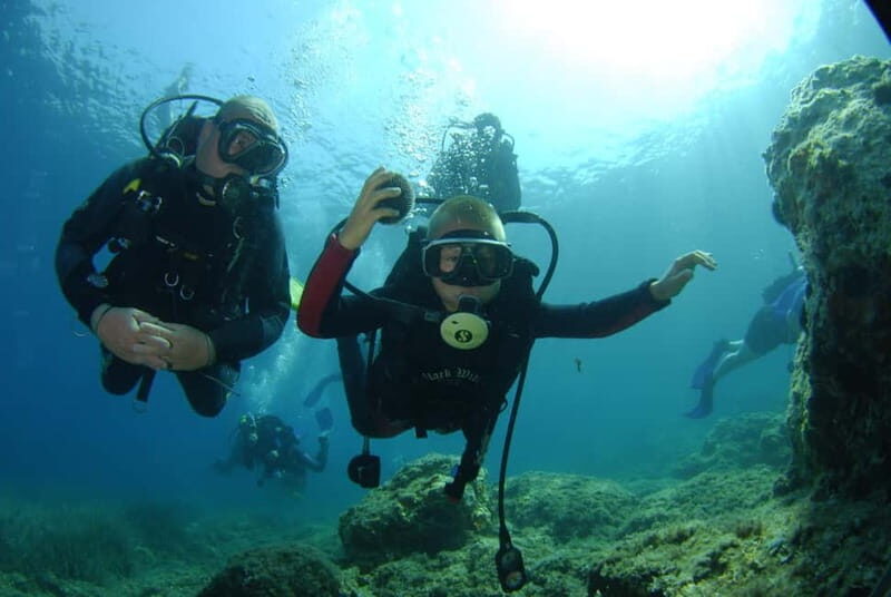 Discovery Dive - 2 hour Uncertified Diver Introductory Dive - The Sum Up