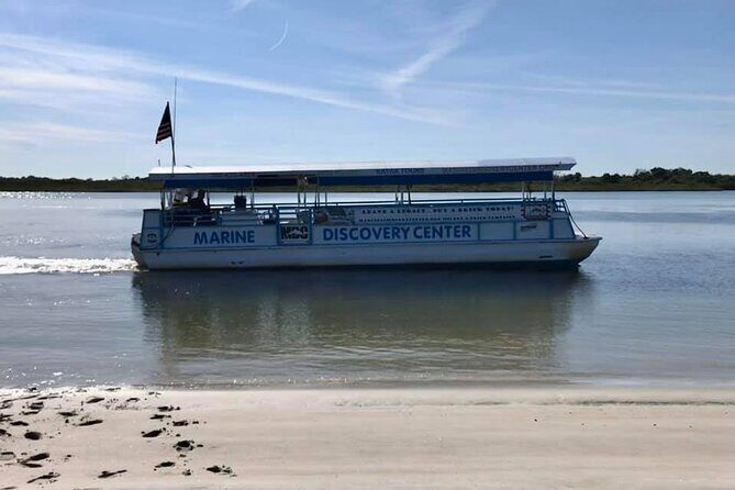 Discovery Dolphin Boat Tour - Discover the Beauty of Daytona Beach on the Discovery Dolphin Boat Tour