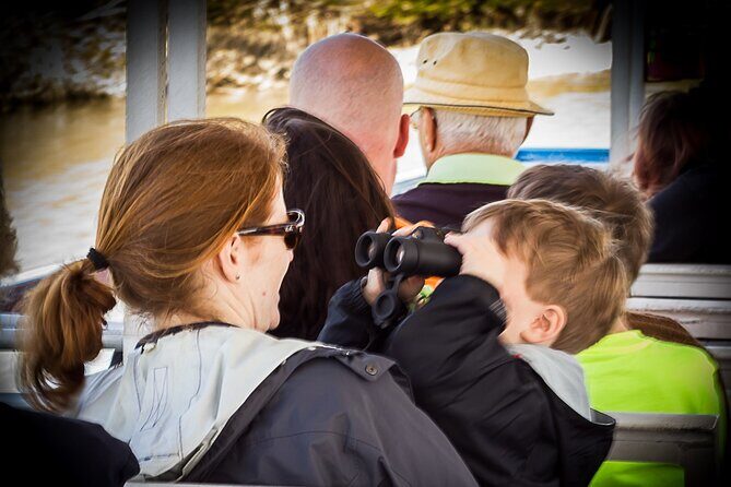 Discovery Dolphin Boat Tour - Key Points