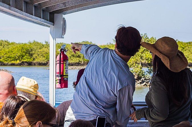 Discovery Dolphin Boat Tour - FAQ